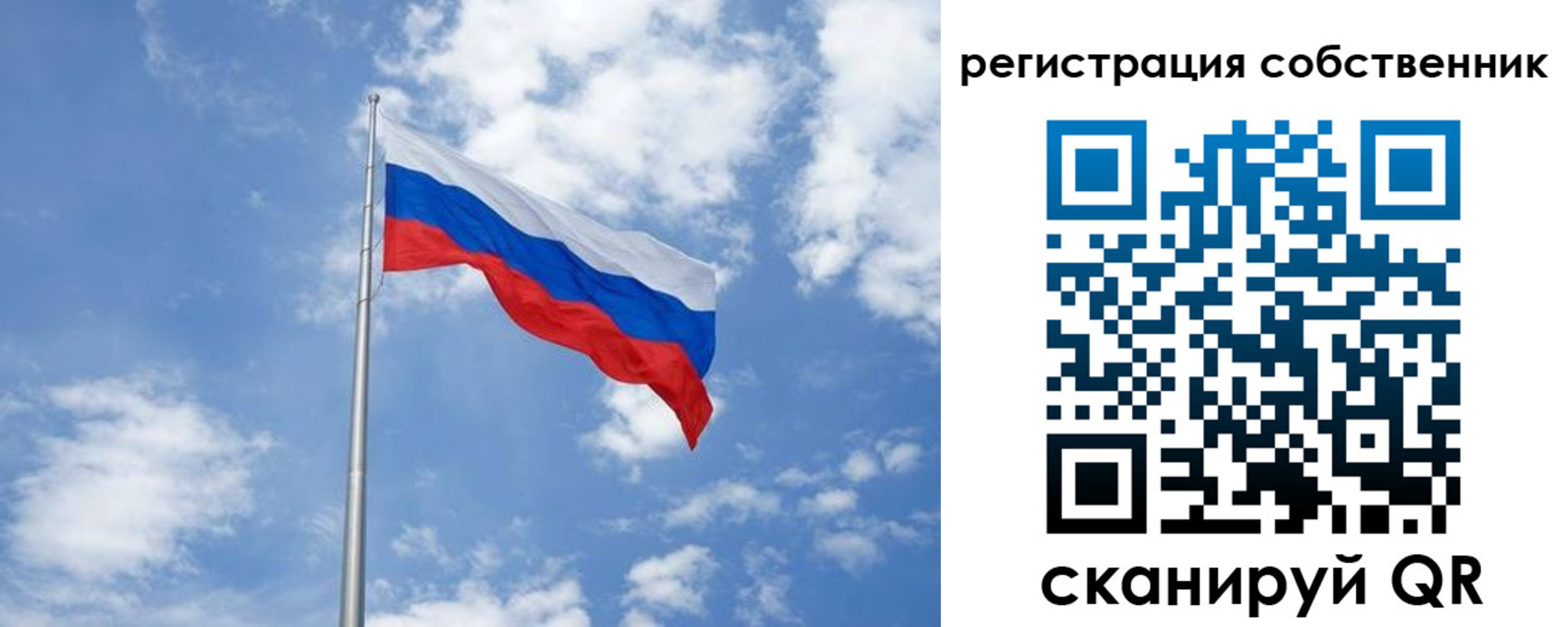прописка для школы в Шумихе